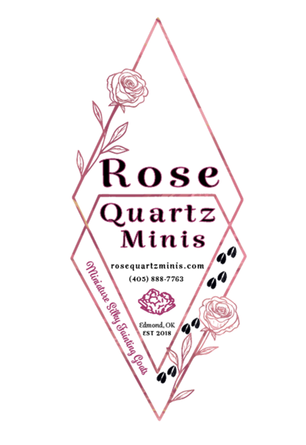 Rose Quartz Minis